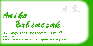 aniko babincsak business card